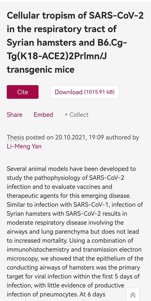 fruinboocksj's tweet image. Cellular tropism of SARS-CoV-2 in the respiratory tract of Syrian hamsters and B6.Cg-Tg(K18-ACE2)2Prlmn/J transgenic mice

#SARSCoV2_timeline #BLACKPINKxPUBGM #TXTPALOOZA