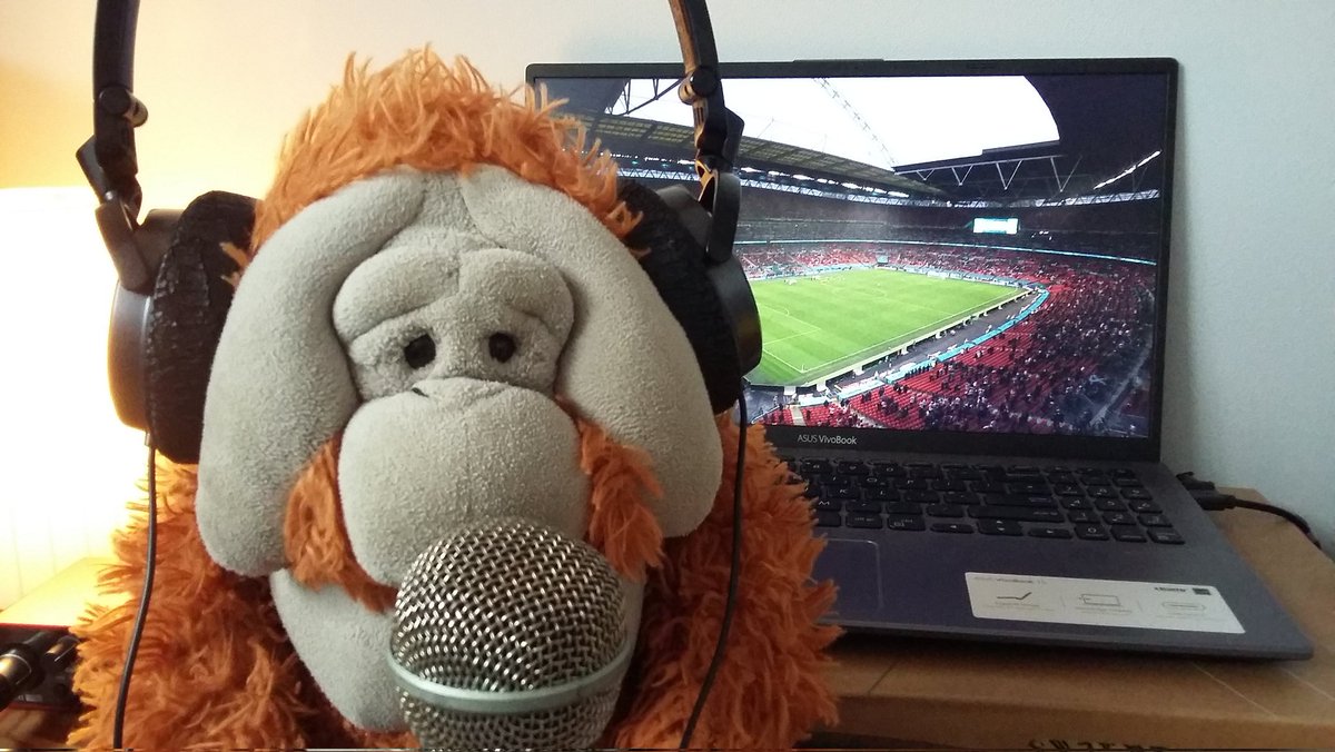 The Old Ape has the beers in🍺 and we are both excited to watch the @Lionesses 🦁 in the final of the Euros tomorrow!⚽ #womenseuros #womensfootball #englandwomen