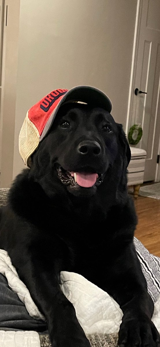 KimVanDenTop6's tweet photo. https://t.co/a7ZwayvhW2