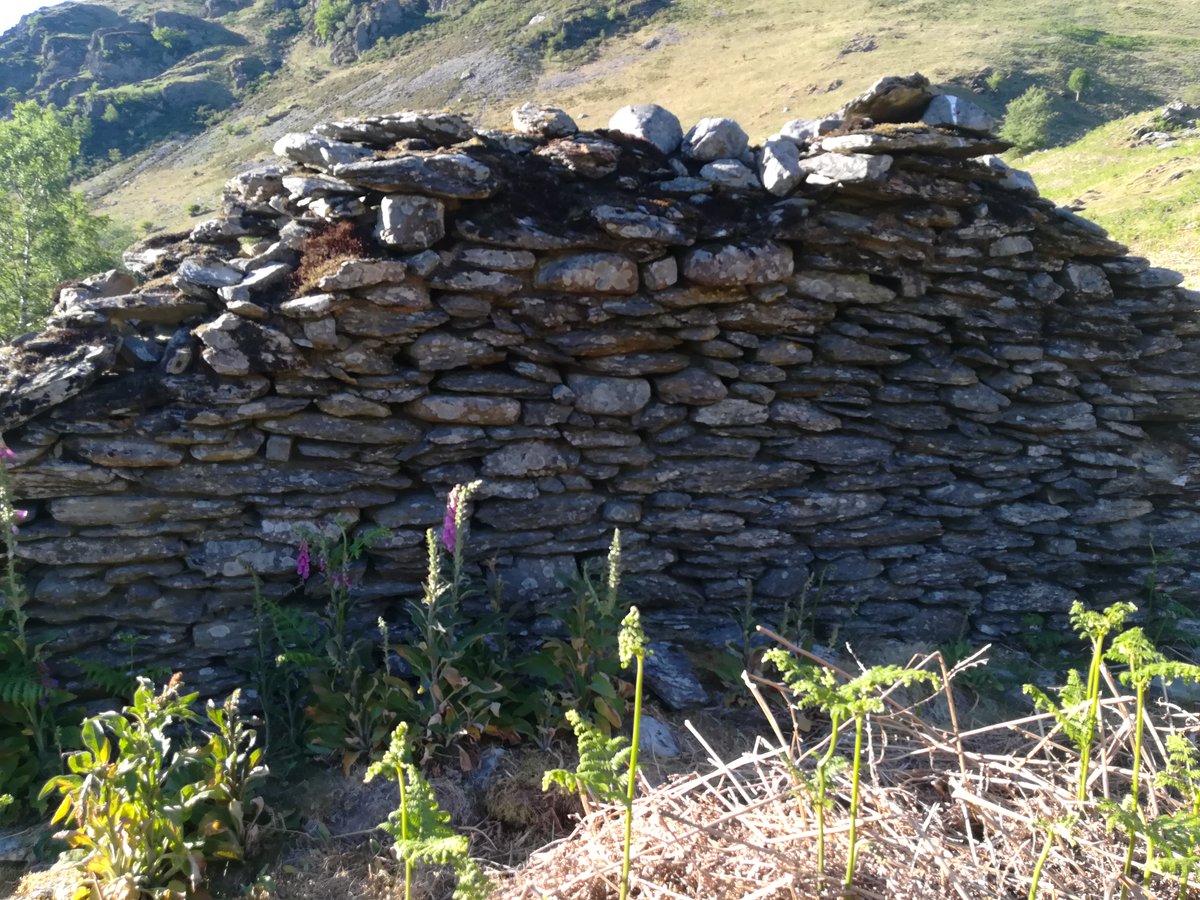 Clyngwyn was once a thatched cottage near where the Doethie joins the Tywi. It is technically in Ceredigion, though within sight of the parishes of Cilycwm and Llanfair-ar-y-bryn on the other side of the two rivers.
#carmarthenshirehistory
#hanesceredigion
#welshcottage