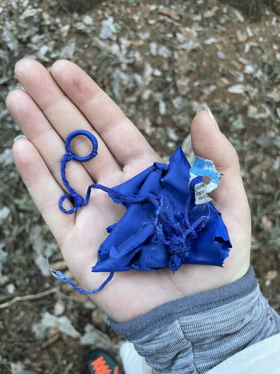 Went for a walk in the forest in the hope to find some mushrooms for dinner. This is what I collected instead: 
😔