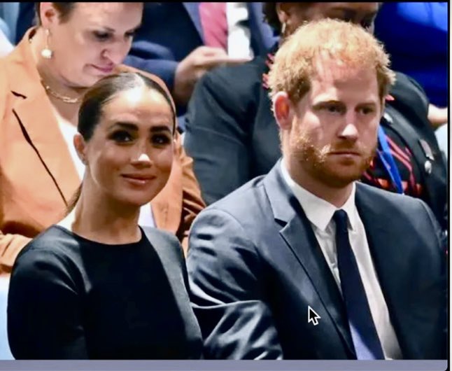 Shan_712_non's tweet photo. I ask you - does this man look happy? #PrinceHarry obviously miserable while wife #MeghanMarkle finds a camera to capture her smug smile. https://t.co/sgX1wmJ9kH