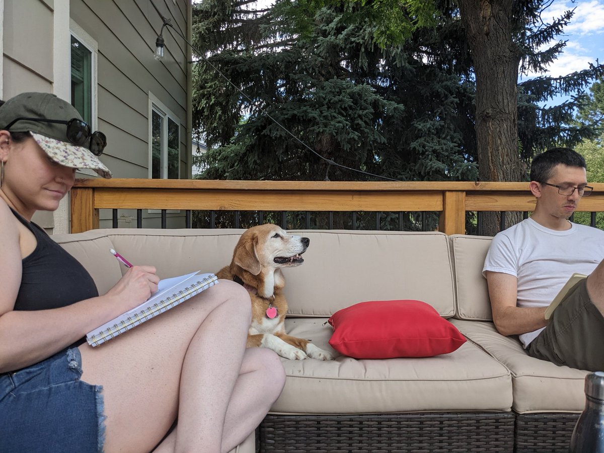 Paintbrush_Tail's tweet photo. Another wonderful new place to be cozy with friends...
#MouseToy #OutdoorDog #SillyDog #VanLife
🐀🏡🚿🌲🌳🐕
@dogcelebration @dogandpuplovers @IngloriousDogs https://t.co/mIyIsFiaC4