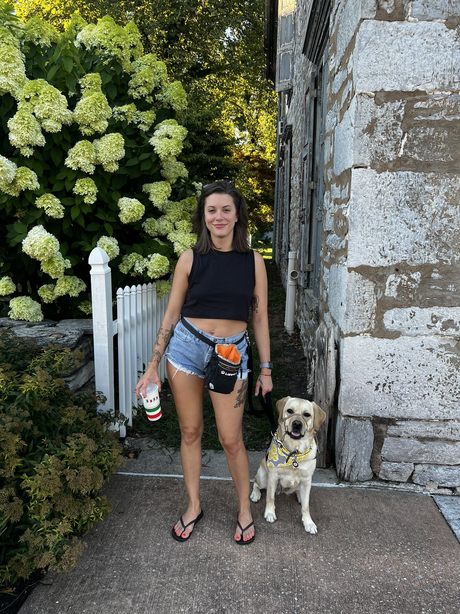 TW Pornstars - Shugah Boogah 🍭. Twitter. Filled with pizza 🍕. 11:22 PM - 30 Jul 2022