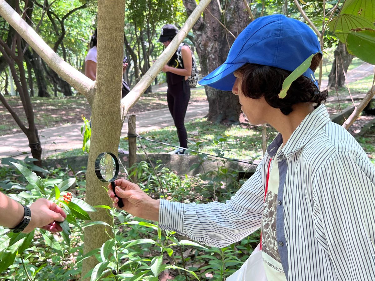 DagmaOficial's tweet photo. Comunidad y científicos unidos con un propósito: preservar nuestra riqueza natural. Hoy compartimos el #Bioblitz en el parque del Acueducto en San Antonio, con observación de aves, insectos y flora. Una actividad en familia en el marco de la iniciativa #Ecobarrios https://t.co/MsgwsaQynO