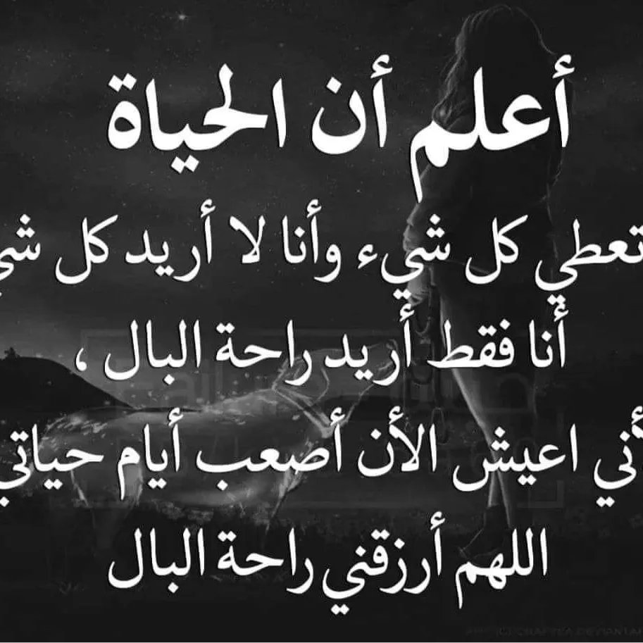 Mona Hisham (@monahis62117251) on Twitter photo 
