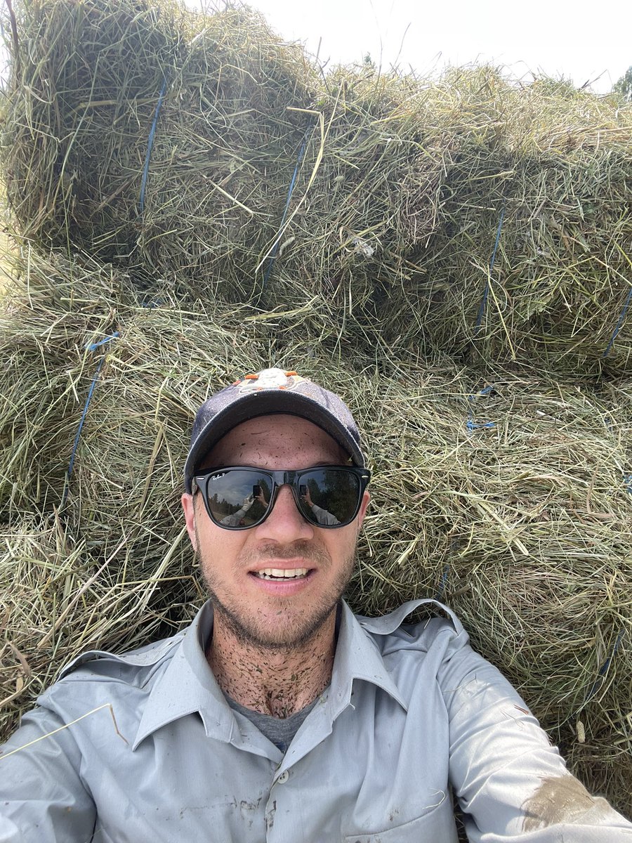 Johan Bodell tweet media