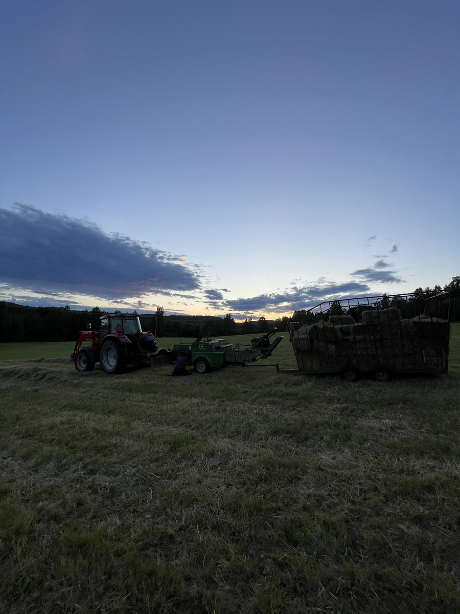 Johan Bodell tweet media