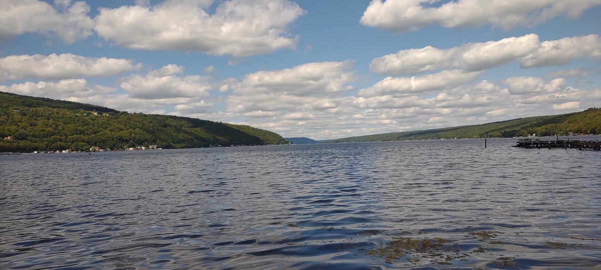 Small stand of dodder on jewel weed on the shore of beautiful Keuka lake. Always fascinated by this plant / parasite.