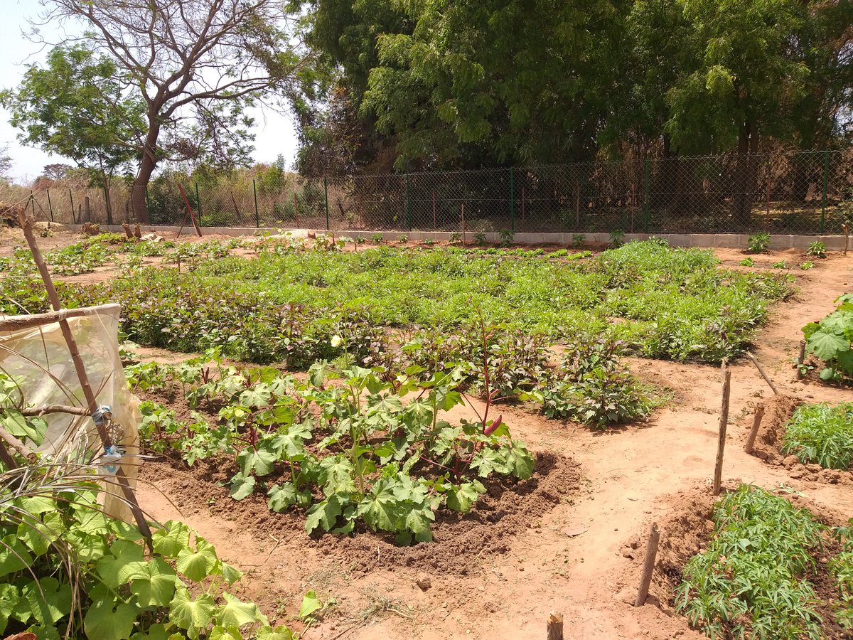 ACPP-Illes Balears tweet media