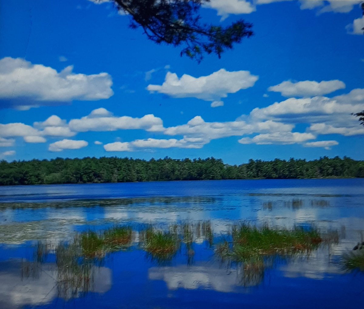 CFamiliosi's tweet photo. #natureslandscape #prettyviews https://t.co/GGL480cvEa