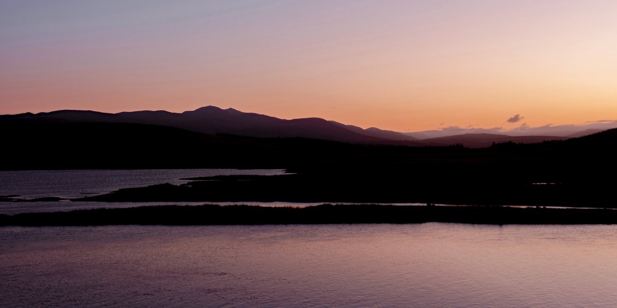 D_Houston's tweet photo. Kyle of Sutherland
The inner Dornoch Firth emanates from this bonnie Kyle. Looking over the salmon-filled waters to the distant Càrn Ban in the Freevater Forest; part of the Alladale Wilderness Reserve. A glorious part of the Highlands rich in wildlife. #ViewFromMyLoo
🐾👣😊 https://t.co/0NnkSyDUI2