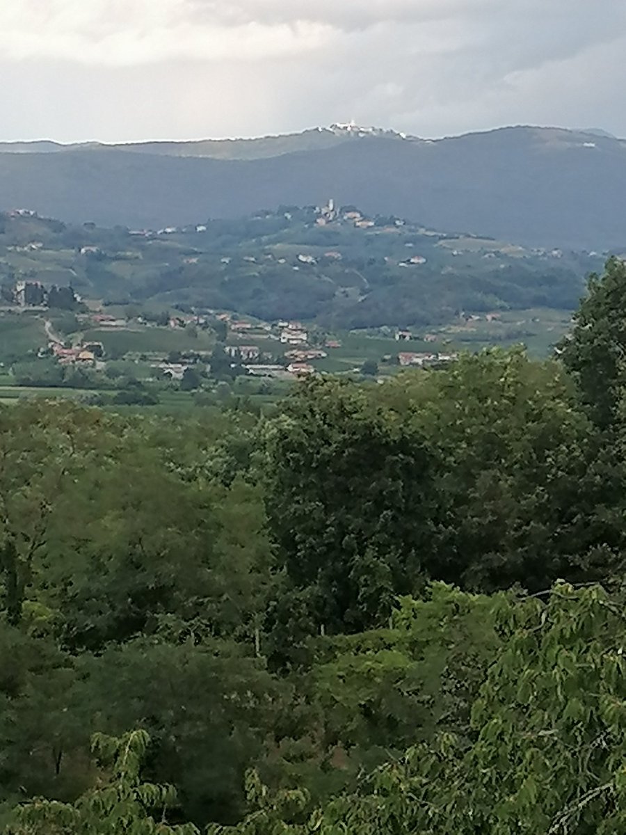 leonzan75's tweet image. Sentiero delle Vigne Alte
#Collio #Cormons #Spessa #FVG