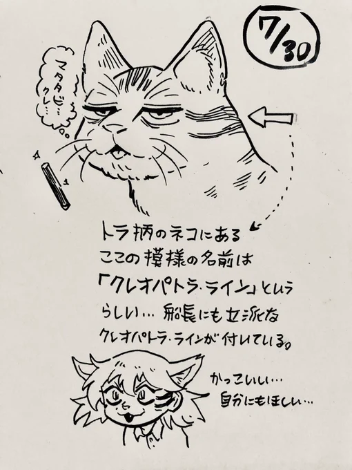 7月30日 #ふなやま絵日記 