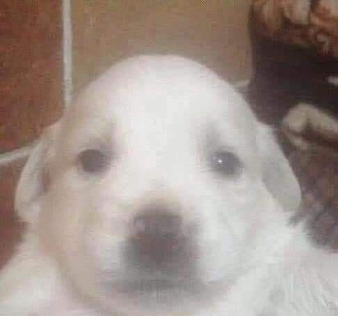 se dependesse da olivia eu entrava em depressao