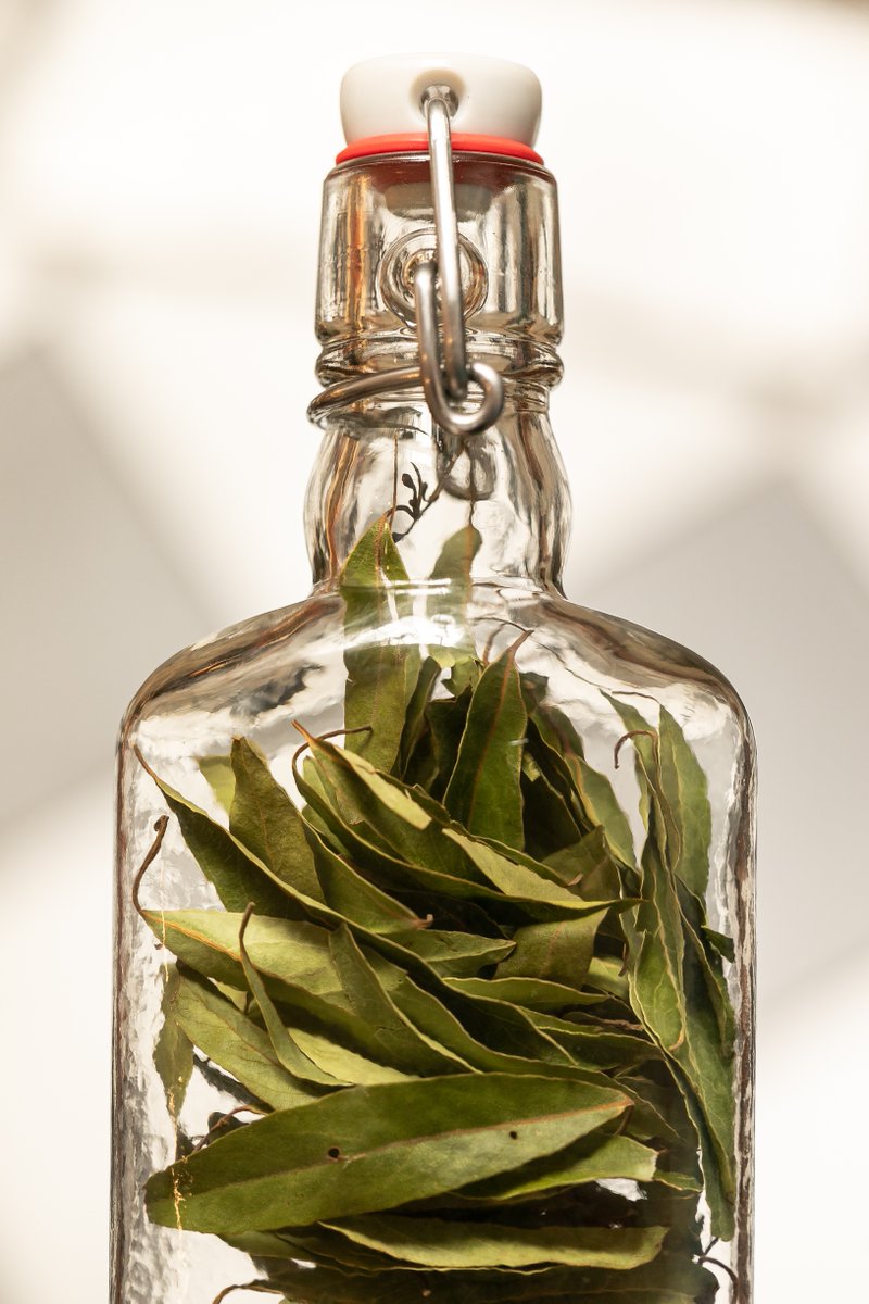 ojodetigremezc's tweet image. Dar una nueva vida a nuestra botella, es una nueva oportunidad al planeta, ¿Cuéntanos cómo reúsas nuestra botella? 
#ThisIsNotTheEnd #ElMezcalParaTodos #MezcalOjoDeTigre #Mezcal