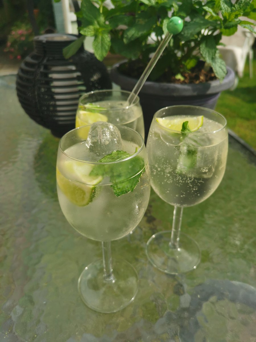 🌱Hugo cocktails in the garden this evening, Prosecco. Gin, Elderflower and Hugo Mint, make this devine drink🌱
Hugo Mint available now at madaboutmint.co.uk