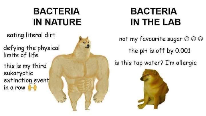 Received this fascinating excerpt from the Journal of Scientific Shitposting