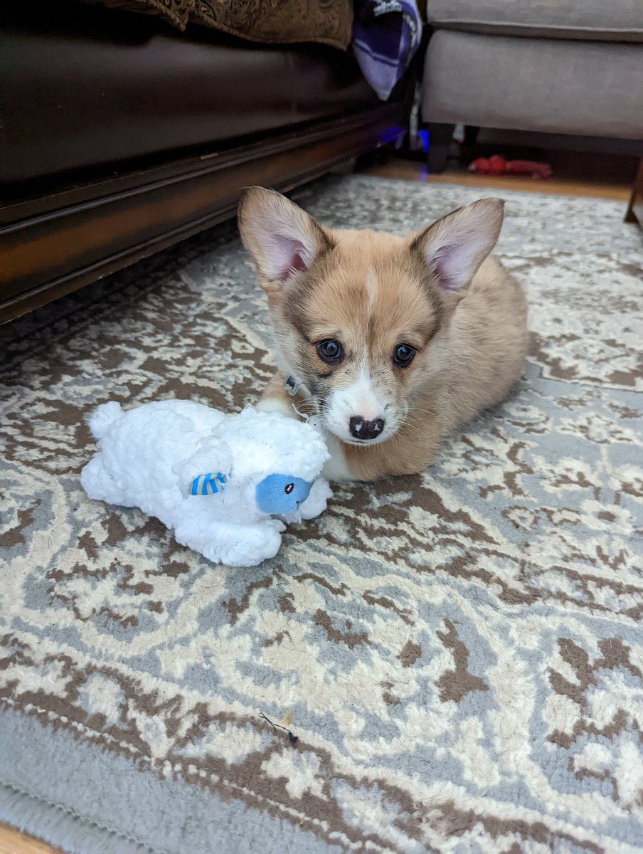 Drewisdead37's tweet photo. This is Cornelius and this is now a Cornelius stan account. That is all. https://t.co/oS1RY2COKw