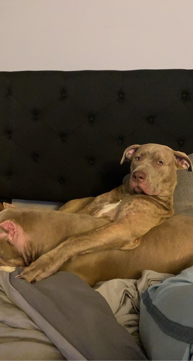 mrrod256's tweet photo. When you and Bae chilling waiting on the movie to start https://t.co/RSGNP3jgi5