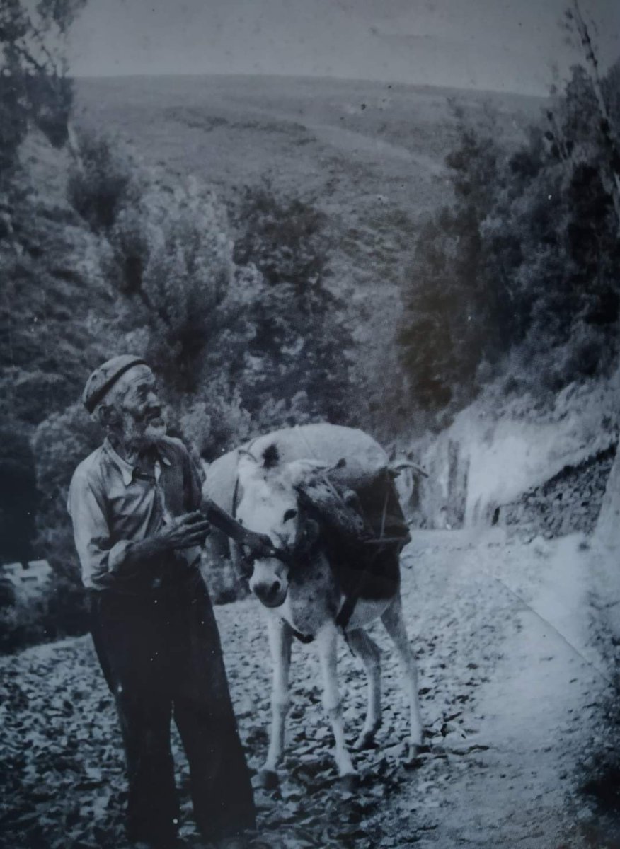 🖼️ | Retrato de home co burro.
📍 | #Becerreá (#Lugo)

🗓️ | 1948.
📸 | Maruja Roca.

📆 | #31deXullo
📬 | <a href="/SESEIXA/">Seseixa</a> <a href="/GaliciaMaxica/">Galicia Máxica</a> <a href="/SecretGalicia/">Secret Galicia</a> <a href="/loves_galicia/">Loves_galicia 🛰️ #fainoengalego</a> <a href="/CBecerrea/">Concello Becerreá</a>

| 1️⃣ 0️⃣2️⃣5️⃣ | #GalizaAntiga |