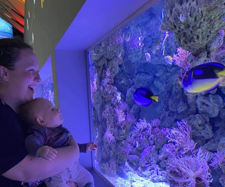 MsRobinson2021's tweet image. Went to The Deep in Hull with my Godson and one of his godfathers and his parents. It&apos;s safe to say he was mesmerised and I just kept saying &quot;P. Sherman, 42 Wallaby Way, Sydney&quot; 🤣❤️🥺xxxx