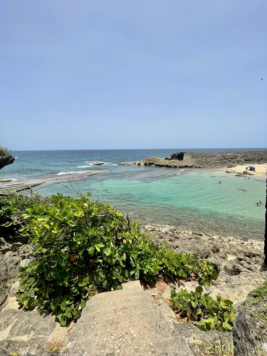 AventureandoP's tweet photo. Cueva Golondrinas🌴💦🇵🇷
📍Manatí, #puertorico 
📸 @jancmatos 

#gottrip⁉️ #aventureandopr #ecoturismo #puertorico 
#unveranosinti #adventure #roadtrip #turismo #viral #naturephotography #playa #ecotours #vacation #paradise #caribbean #beachvibes #IslandLife #pozadelasmujeres https://t.co/nDOo17xiiG