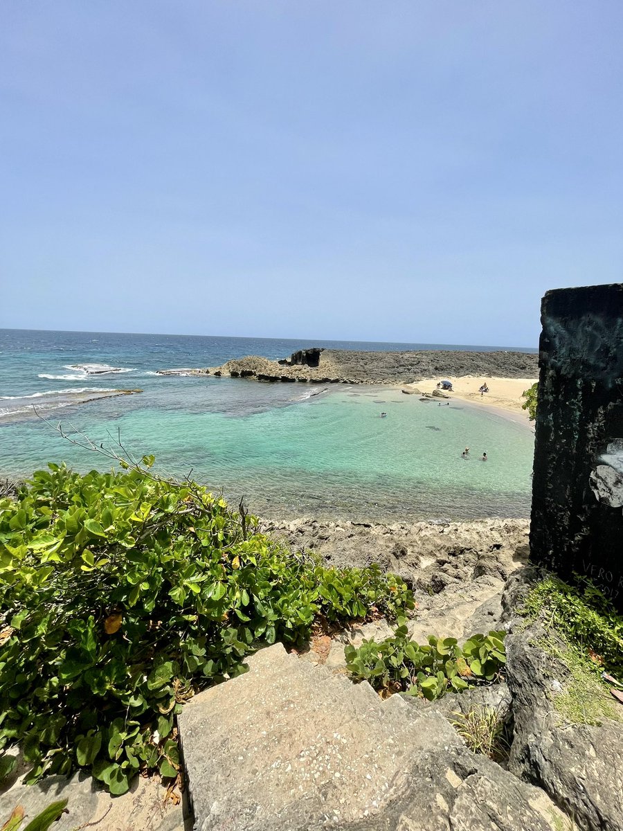 AventureandoP's tweet photo. Cueva Golondrinas🌴💦🇵🇷
📍Manatí, #puertorico 
📸 @jancmatos 

#gottrip⁉️ #aventureandopr #ecoturismo #puertorico 
#unveranosinti #adventure #roadtrip #turismo #viral #naturephotography #playa #ecotours #vacation #paradise #caribbean #beachvibes #IslandLife #pozadelasmujeres https://t.co/nDOo17xiiG