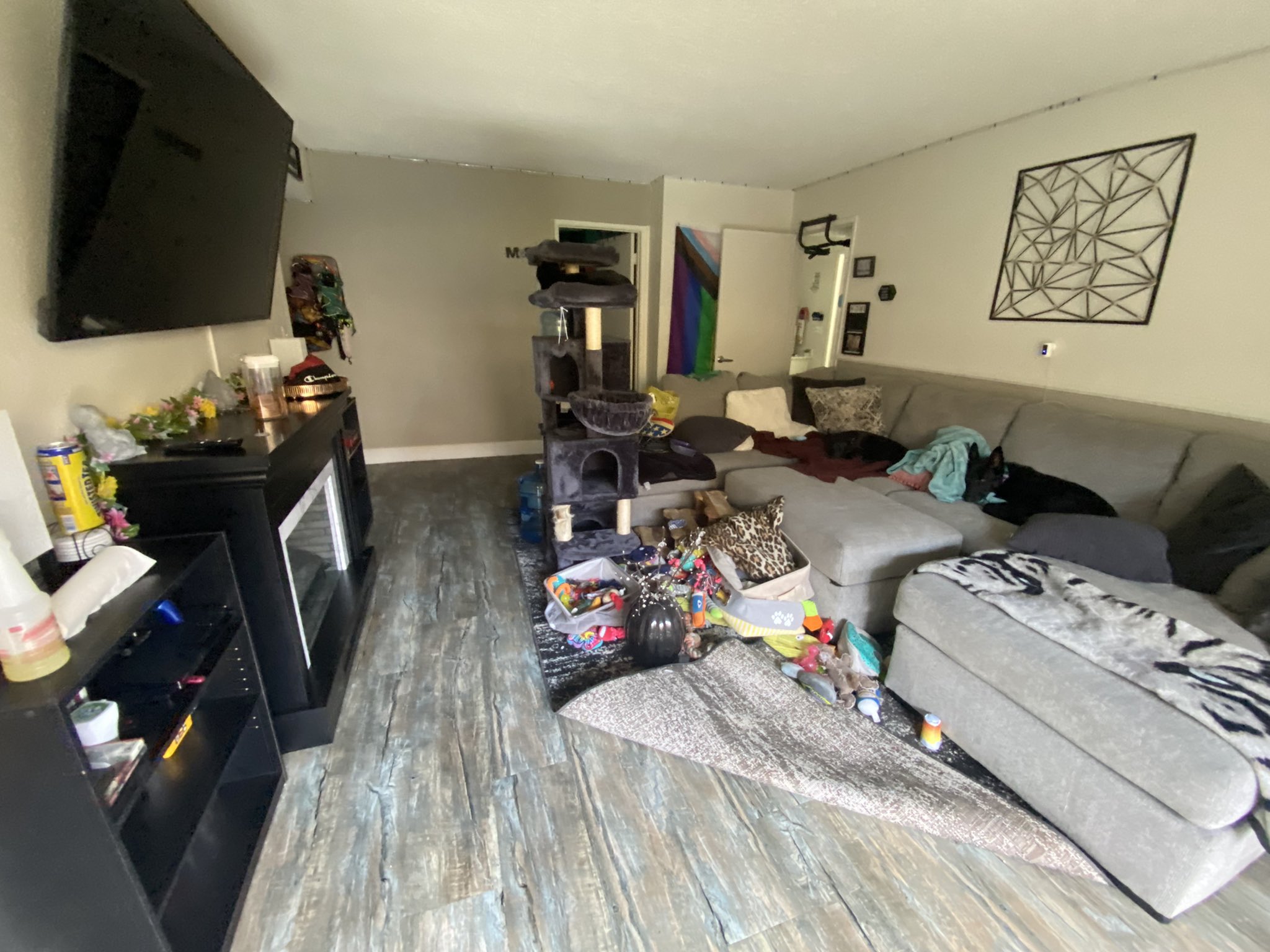 TW Pornstars 1 pic. Dad. Twitter. got a commercial mop and bucket now