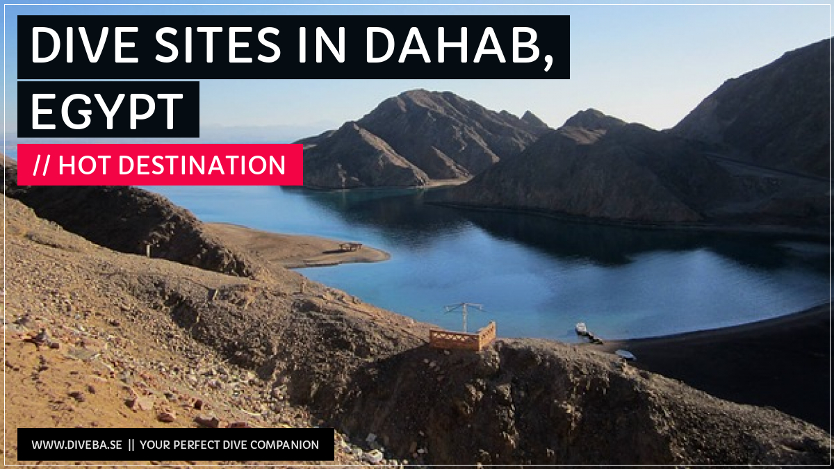 divebaseapp's tweet image. Todays highlight: 

✔ Dive sites in Dahab, Egypt

📲 Download the #Divebase App for iOS and Android and discover great dive locations! go.diveba.se