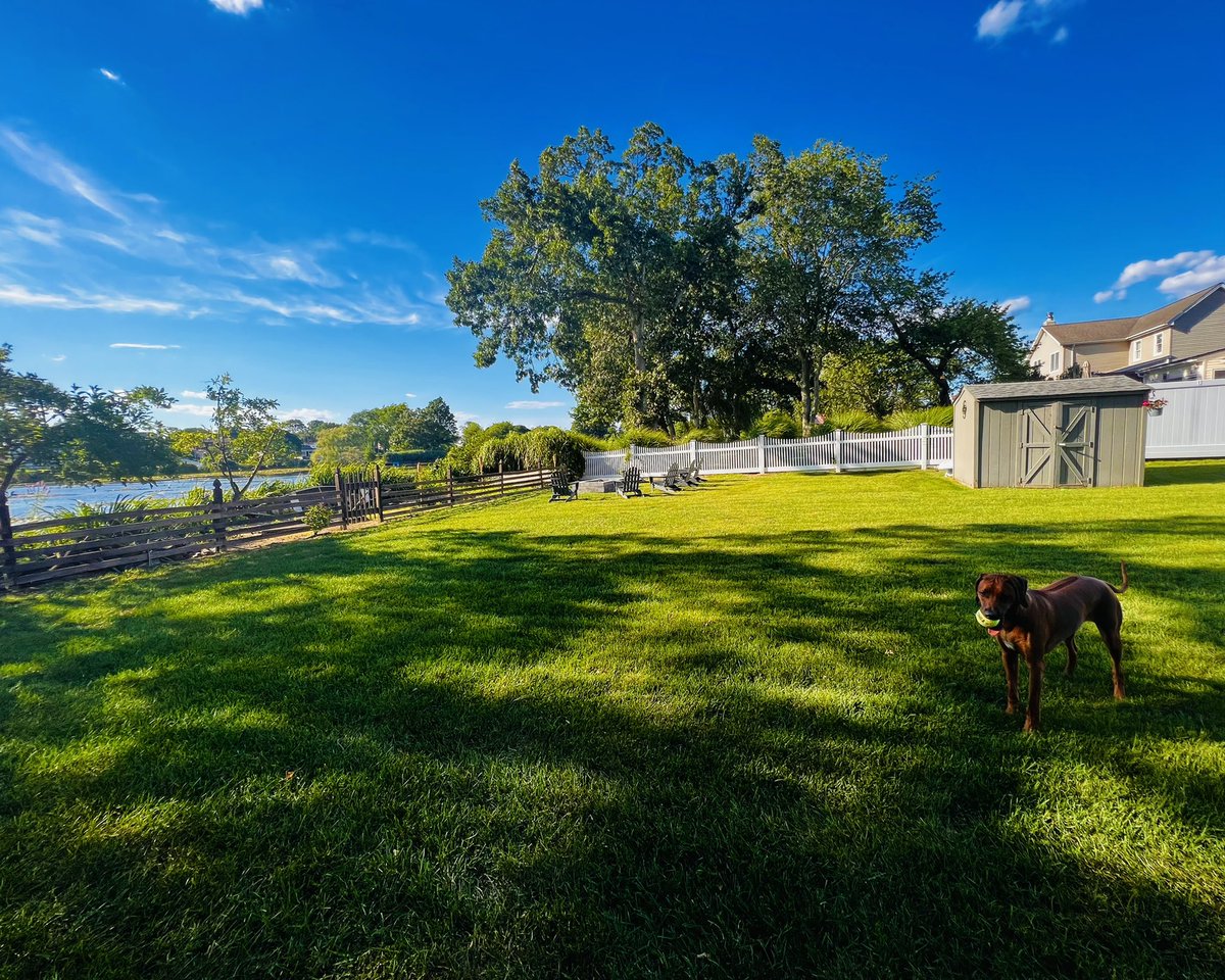 Ryan Scott (Horse) tweet media