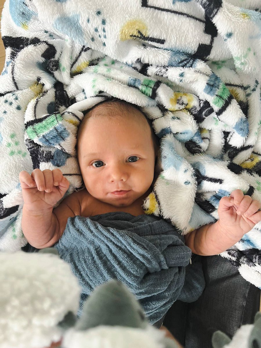 ThaTomson's tweet photo. 💓 Baby Julius says hi https://t.co/SSDwt6gYau