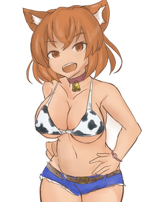 すずしいうちにうちねこ貼る 