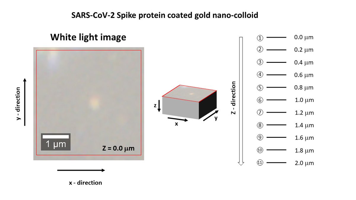 GeneseoChem's tweet photo. SARS-CoV-2 Spike protein coated gold nano-particle SERS (Surface Enhanced Raman Scattering) 3D-image (Dr. Yokoyama Group) https://t.co/LoWHohBQtV