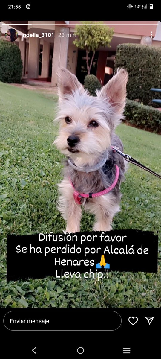 Noelia Toral tweet media