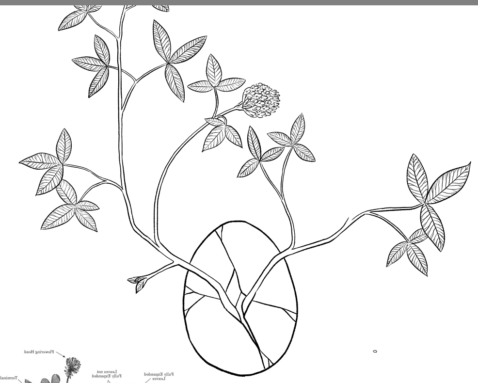Observe as I definetly won't finish this piece because i know myself too damn well.