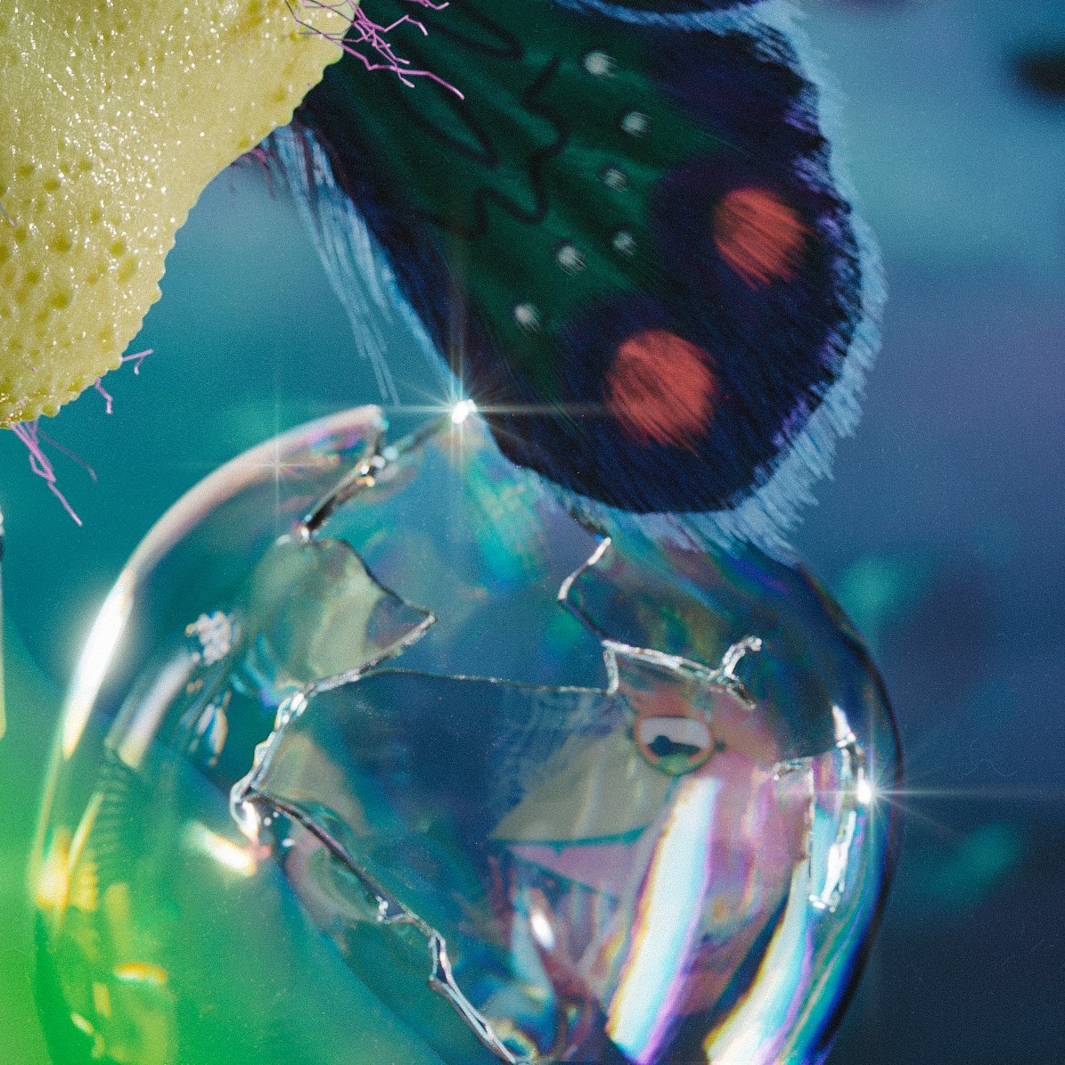 Warano.eth tweet media