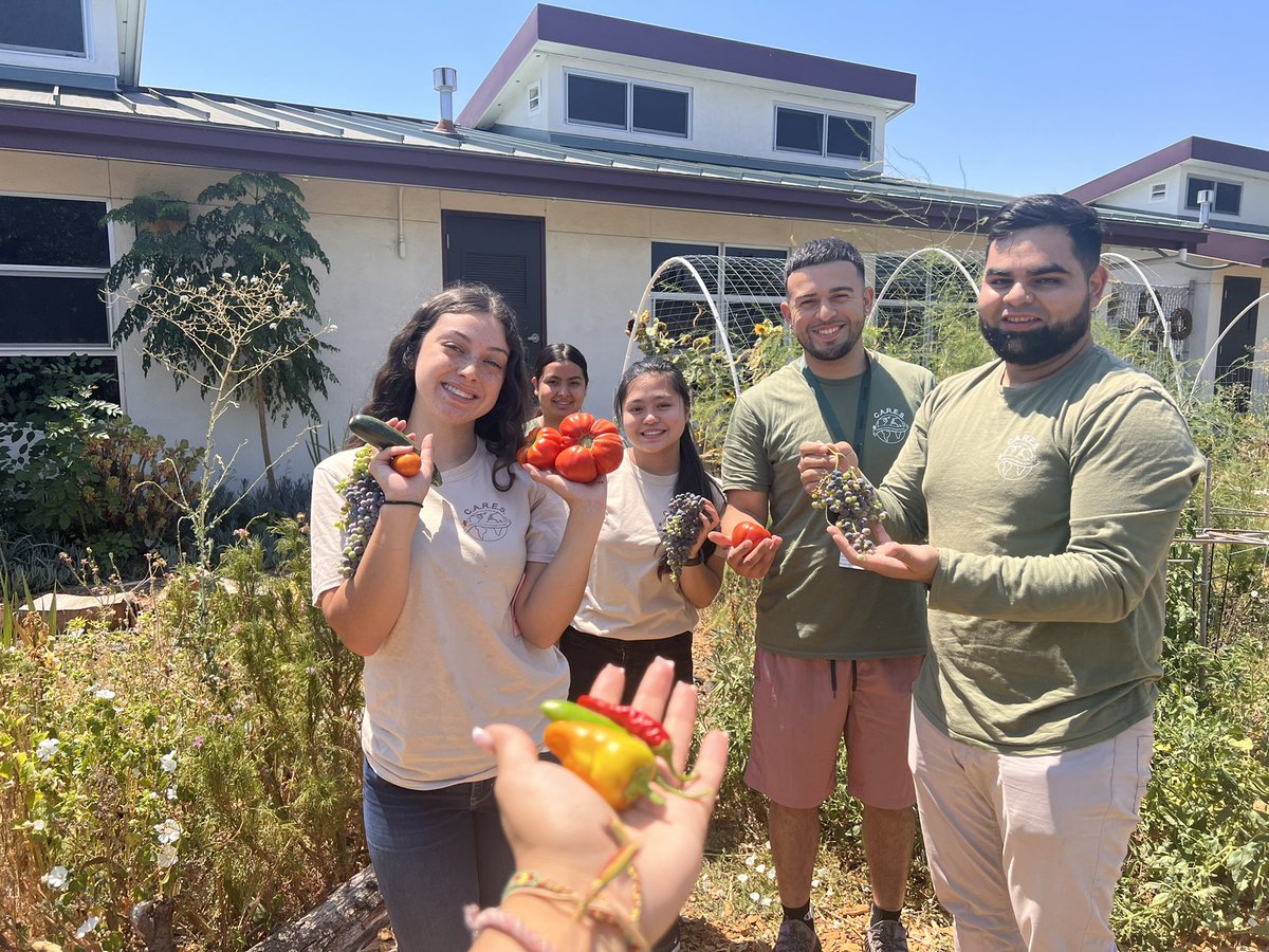 Violeta Guzman tweet media