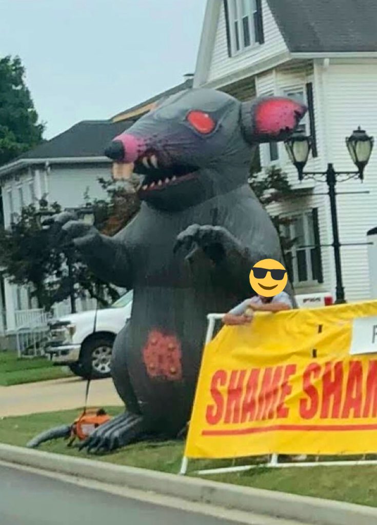 Vaccinated Risu has a Fanhouse on Twitter "RT ReallyRisu Pls RT for