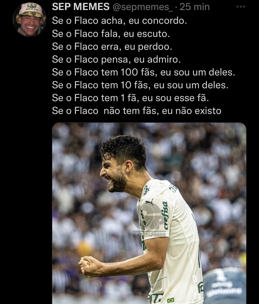 SCCP Memes on X: É fml não vai ter jeito VAMOS DE UNIÃO FLARINTHIANS PARA A FINAL! / X
