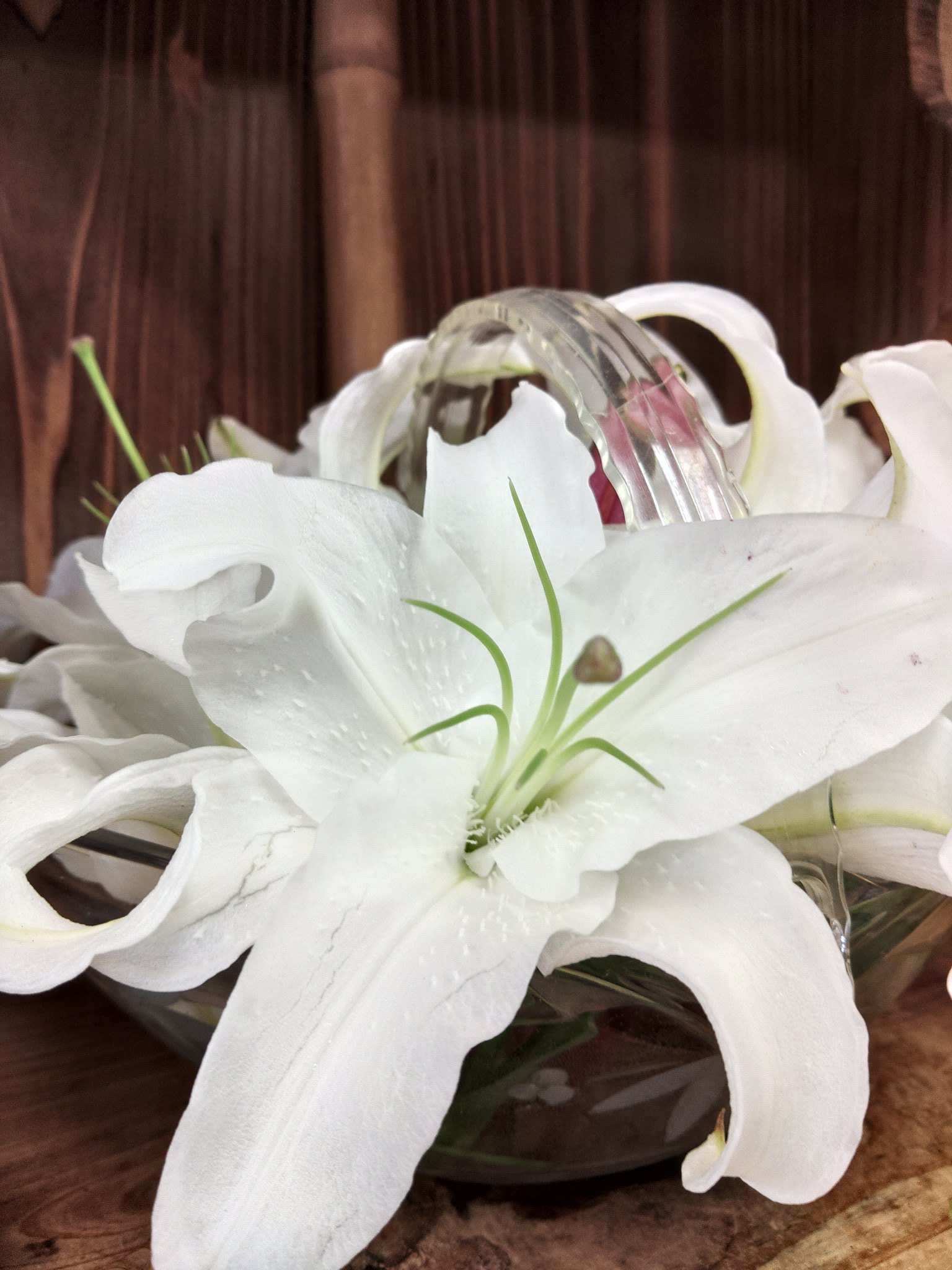 花の染色 Twitter Search Twitter
