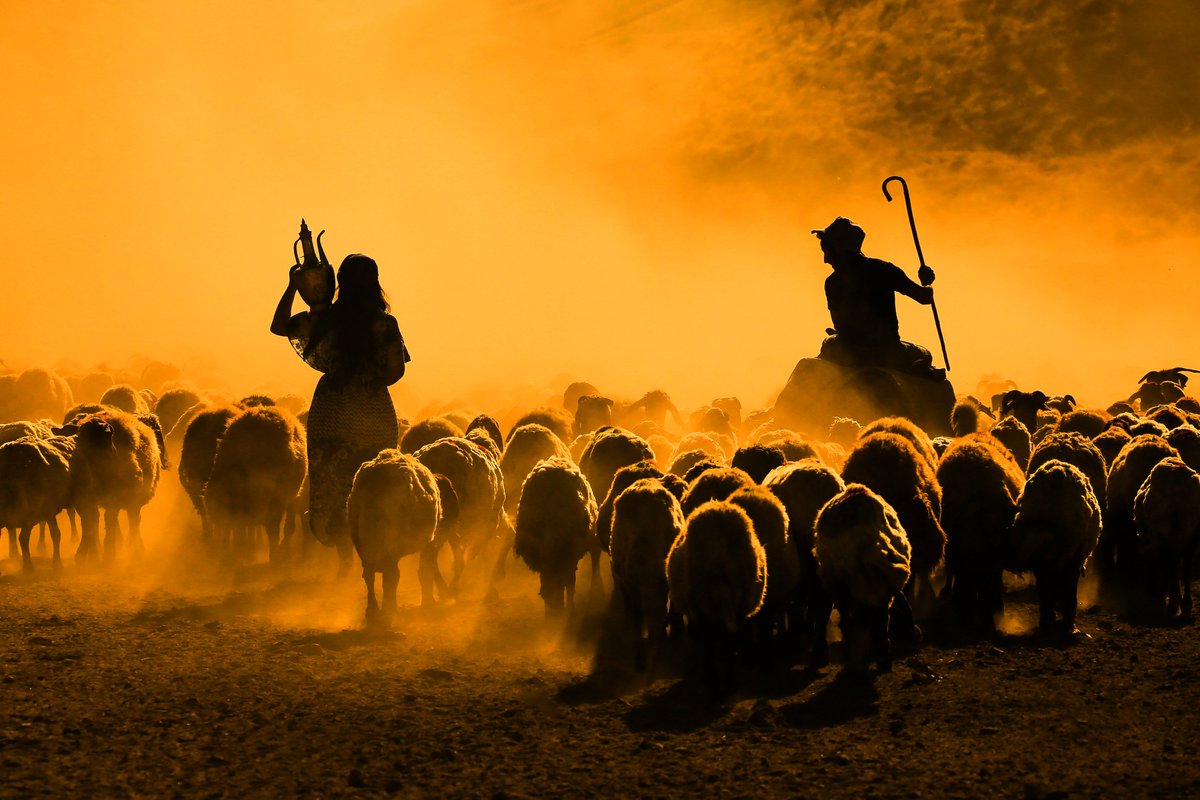 Kahramanbekcili's tweet photo. Good morning☕️

I wish everyone a nice day

I uploaded my new edition, Dusty Journey, via 
@opensea
. I hope you like it dear friends

📷 20/20 edition 
✨  Available  15
💛  Sold  5

📌 0.030 Eth 

💛RT &amp; QT 
#NFTcommunity 

https://t.co/GHJ05cf5zW https://t.co/imebw3C78n