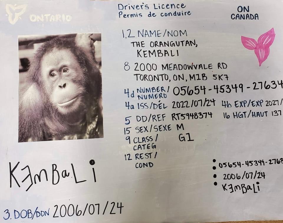 EOBwrites's tweet photo. ⁦@PocketsWarhol⁩  Hi Pockets, I have a friend named Kembali who would like to borrow your pink car.  Love, Erin https://t.co/kxpqlvcfPd