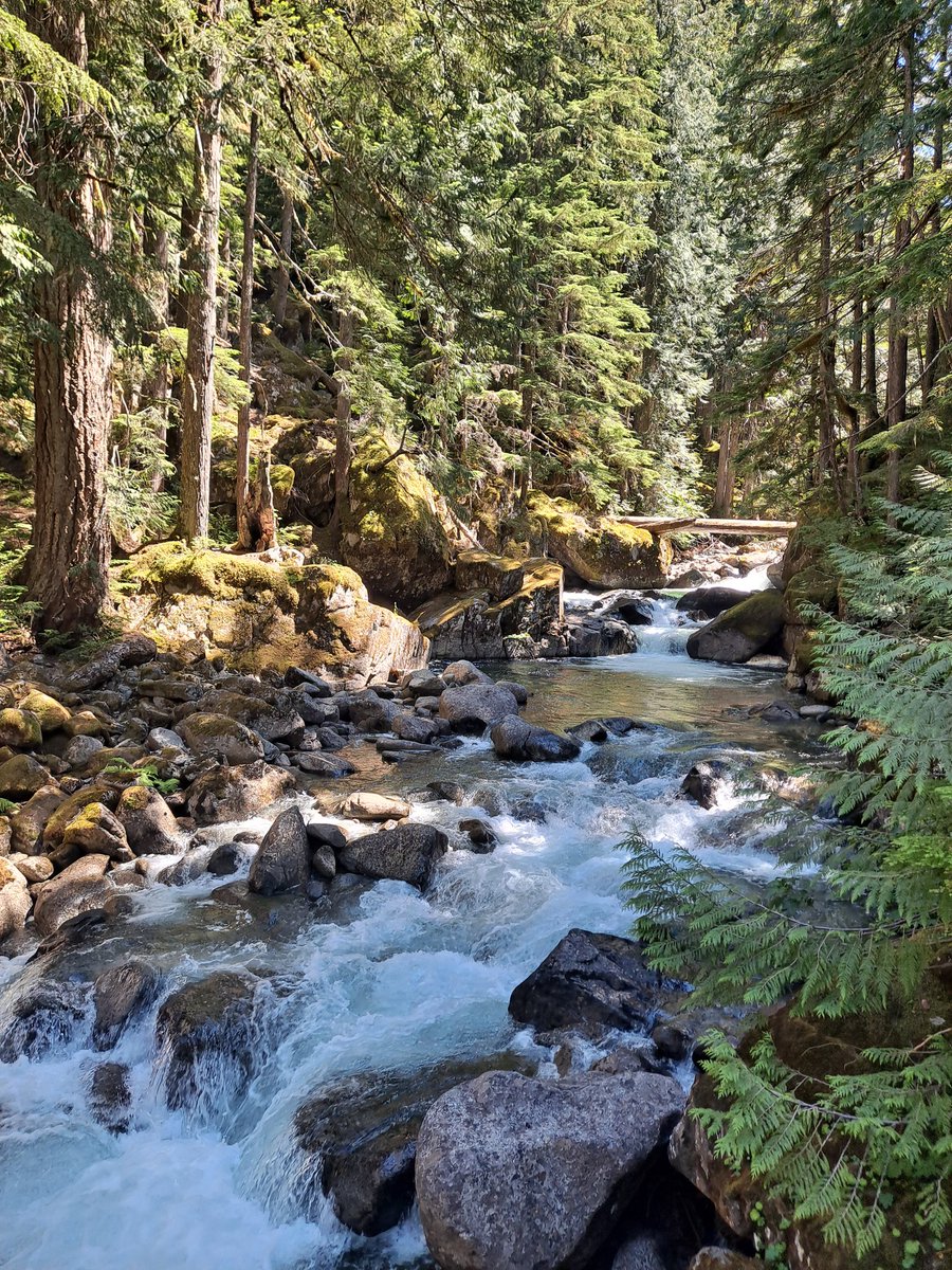 Took a hike today on Deception Creek trail. River views were incredible. Pretty hot outside, even at this elevation and despite the trail being entirely in the shade. At one point I jumped in, boots and all, and kept hiking in my wet clothes. Only saw 5 people in 6 hours.
