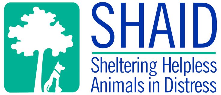 Rescue Inu tweet media