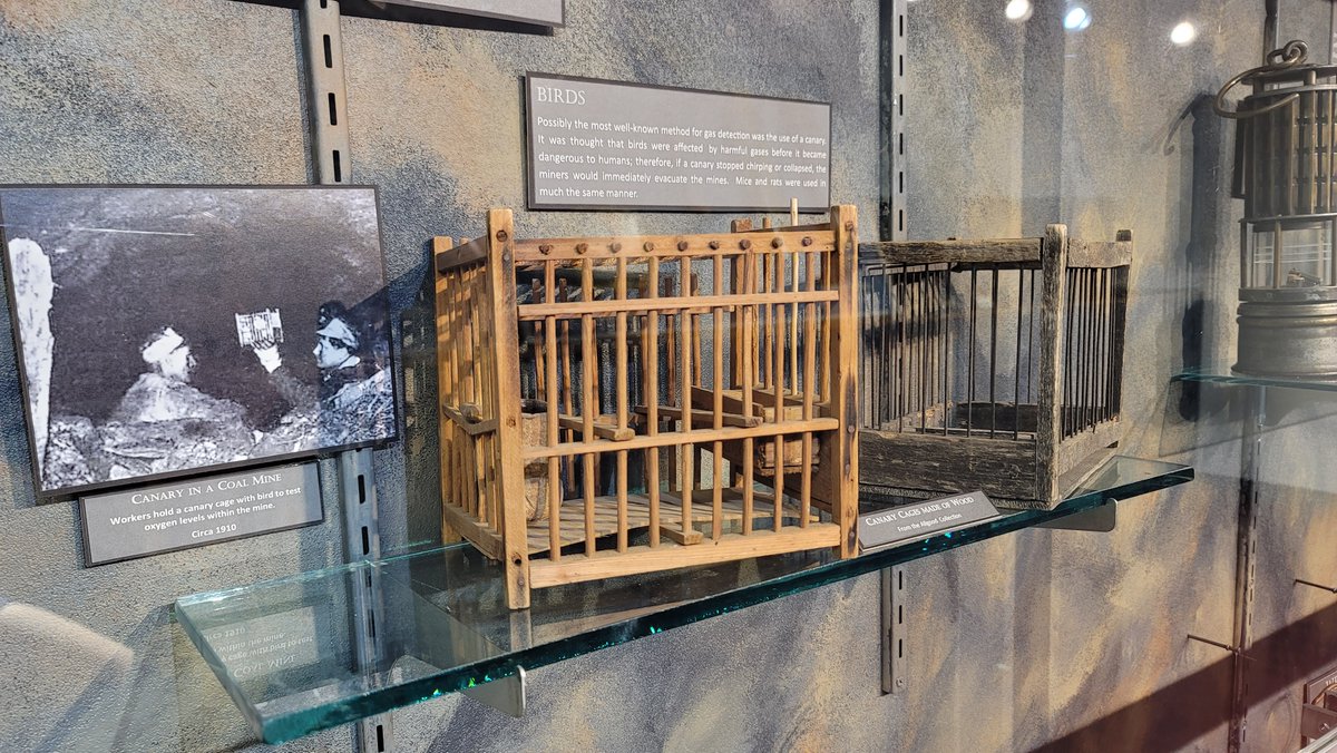 Mining Hall of Fame tweet media