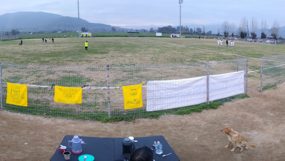 pipebustosrojas's tweet photo. K vergüenza la cancha k presentó hoy @cdmelipilla para jugar partidos fútbol formativo infantil de la @ANFPChile. Y así queremos mejorar el deporte en chile, @rodrigosepu que opinas de esto. Los niños son la base del deporte. Impresentable. https://t.co/vcVbuFznSP