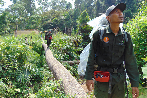 OrangutanTOP's tweet photo. Today is #WorldRangerDay! 💪 Your gift of $45 will fund a #WildlifeProtectionUnit for 24 hours to monitor and #ProtectRainforest, #RescueOrangutans, and work with local communities. Please donate today: https://t.co/Mhc3EtTDuR

#TheOrangutanProject #TOP #WildlifeRangers https://t.co/ojHEdrmfCr