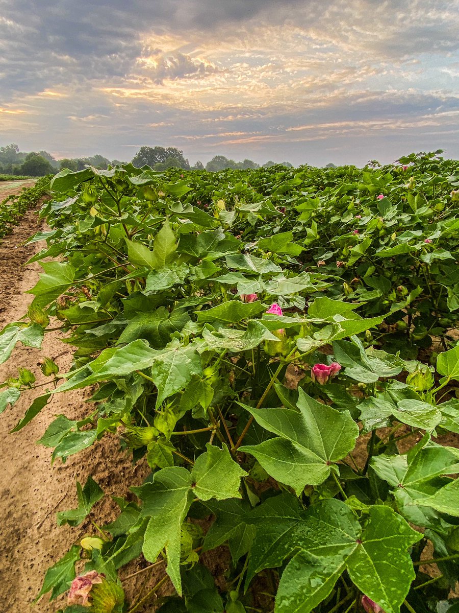 Jenna Martin tweet media