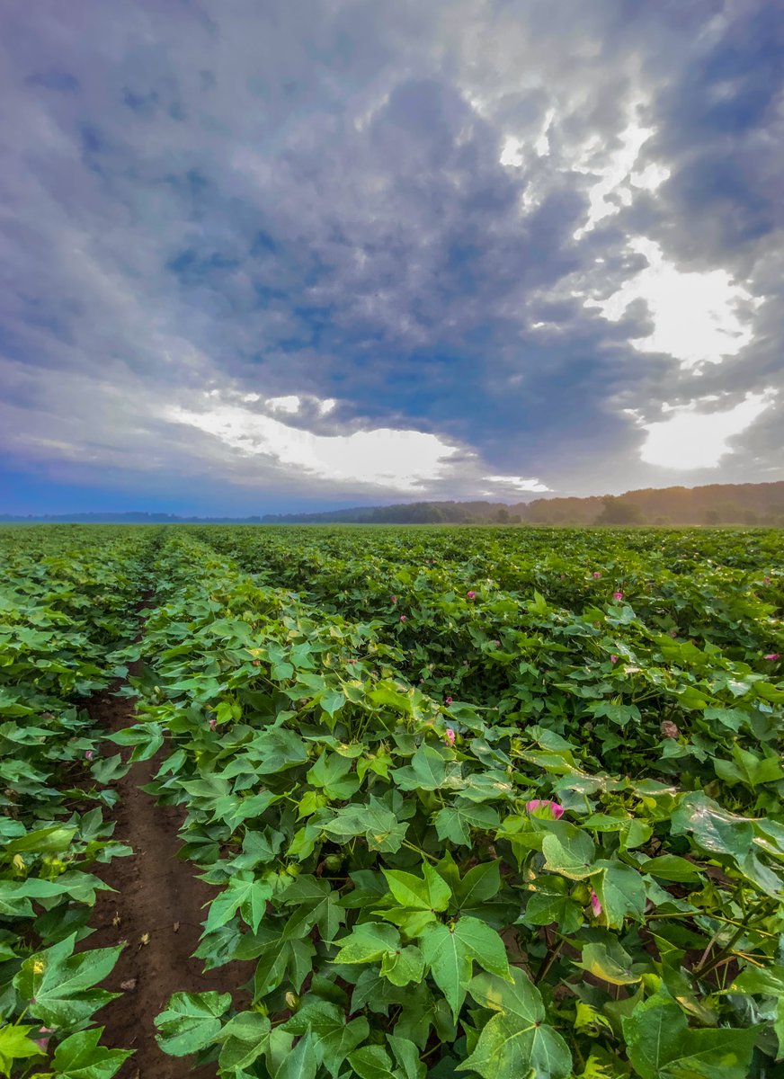 Jenna Martin tweet media